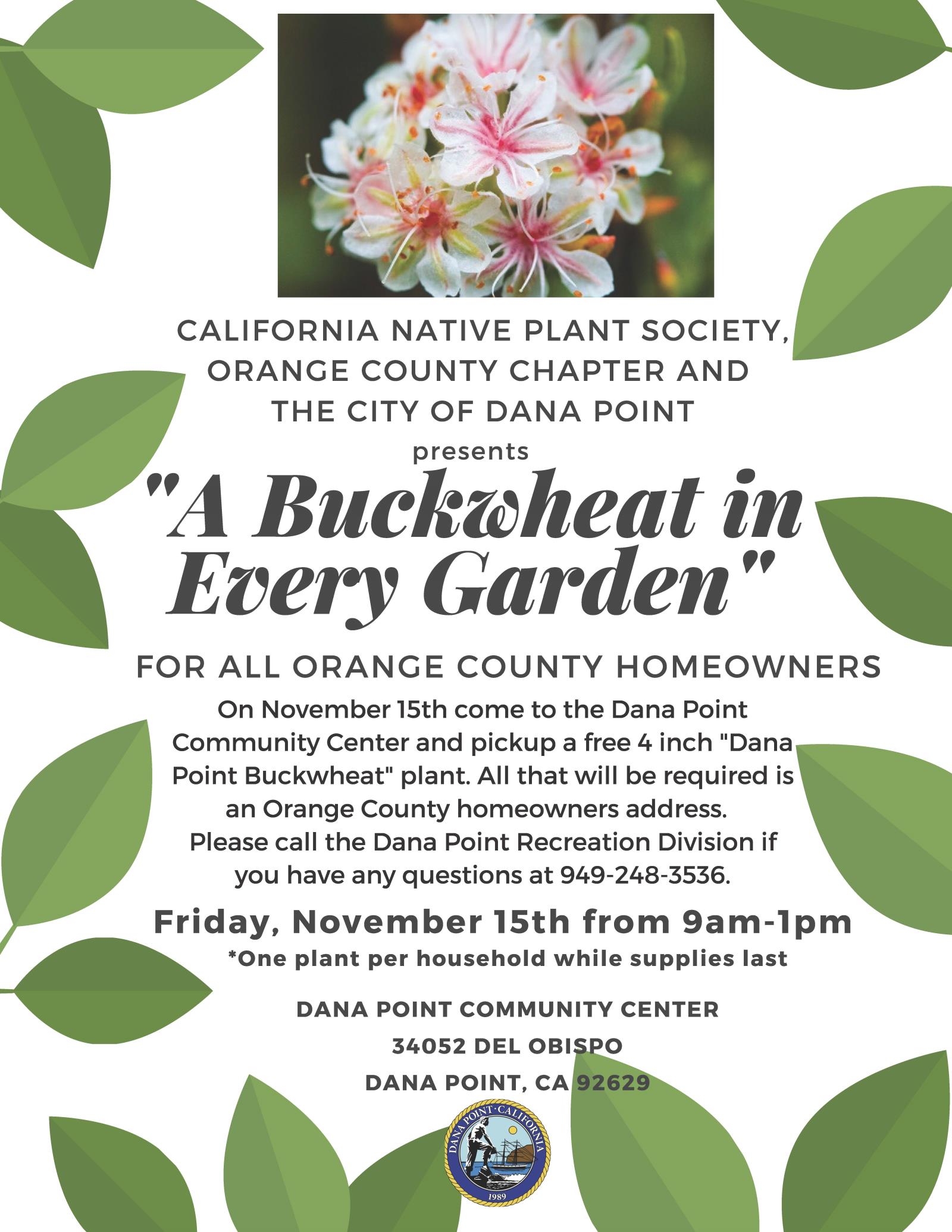 Buckwheat Give away Flyer